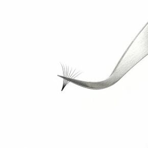 Pre Made Lashes D 0.07 8D