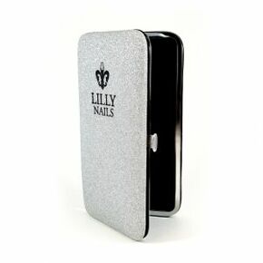 Tweezer Case Silver