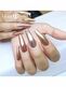 https://lillynails.eu/pub/media/catalog/product/cache/ab351c3408c39bcd8ad6b821655cbc6b/8/7/87400_rose_collection_1_5.jpg
